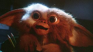 image de Gizmo, le retour !