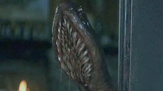 image de Les vers méchants