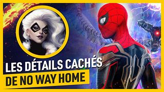image de Aviez-vous remarqué ? Spider-Man No Way Home
