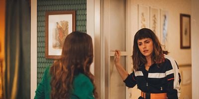 poster de la série Le dauphin