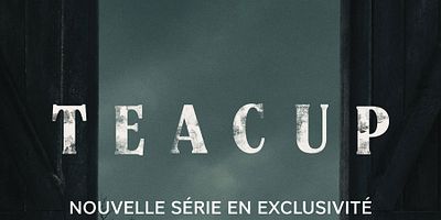 poster de la série Dans les bois