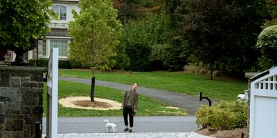 poster de la série Mal de chien