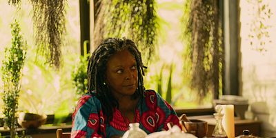 poster de la série Grave amoureux des chats