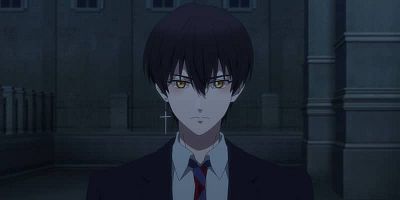 poster de la série Les loups qui ont franchi le mur