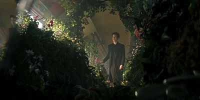 poster de la série Le chant d'Orphée