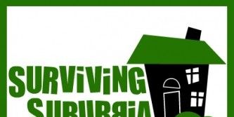 poster de la série Hero