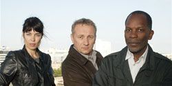 poster de la série Pink panthers