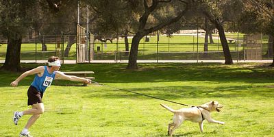 poster de la série Patrimoine (et) génétique