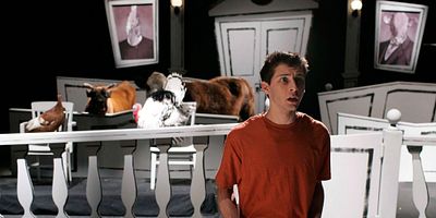 poster de la série Le tribunal des animaux