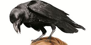 poster de la série Le blog