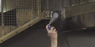 poster de la série Les trois ours