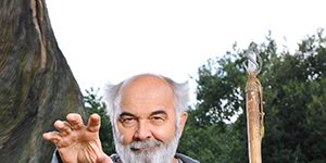 poster de la série L'enchanteur désenchanté