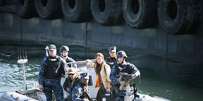 poster de la série Les survivants