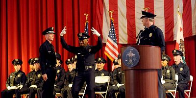 poster de la série Les Requins et les Dauphins