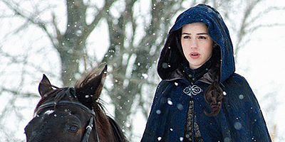 poster de la série Le goût de la vengeance