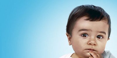 poster de la série Pauvre pigeon