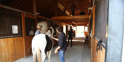 poster de la série Trois c'est trop