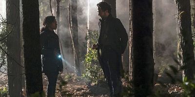 poster de la série Promenons-nous dans les bois