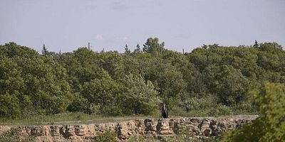 poster de la série Je te tiendrai la main