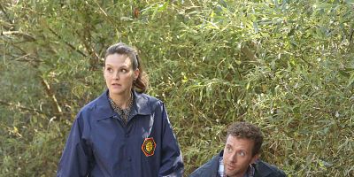 poster de la série Irma