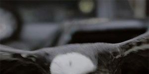 poster de la série The Big Ape