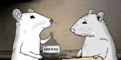 poster de la série Pigeons (2)