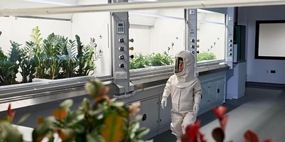 poster de la série La Pyramide de la Fin du Monde