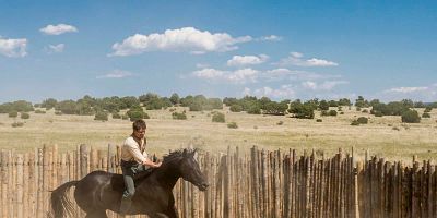 poster de la série La sagesse du cheval