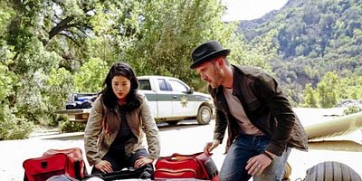 poster de la série Crime en famille