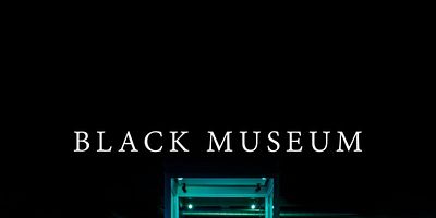 poster de la série Black Museum