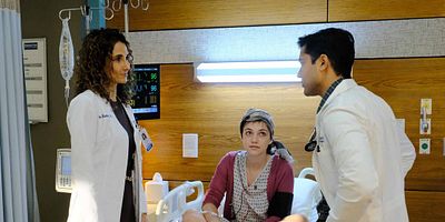 poster de la série La journée de l'indépendance