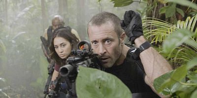 poster de la série He pūkoʻa kani ʻāina