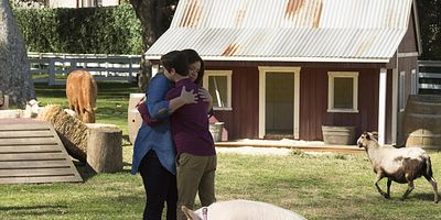 poster de la série Des adieux difficiles