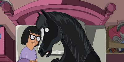 poster de la série Le Stage d'équitation