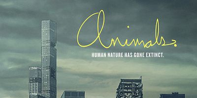 poster de la série Rats