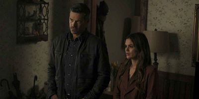 poster de la série La famille Rollins