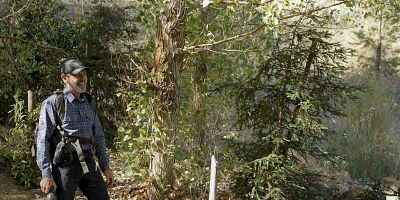 poster de la série Les compères