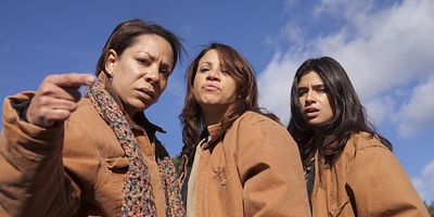 poster de la série Le Conseil