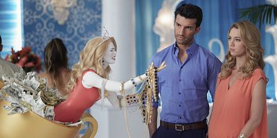 poster de la série À la poursuite du diamant rose