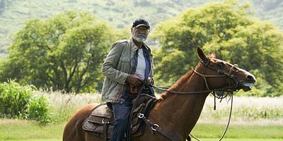 poster de la série Pio ke kukui, poele ka hale