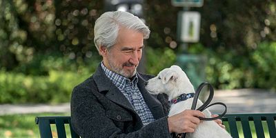 poster de la série La pharmacie