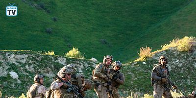 poster de la série Nid de guêpes