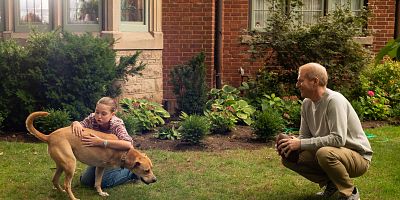 poster de la série Arrivée