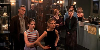 poster de la série Les Liens du sang