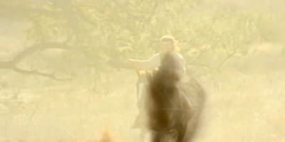 poster de la série Berceuse pour un cow-boy