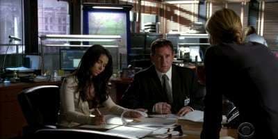 poster de la série Le protecteur