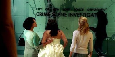 poster de la série Le Repas des fauves