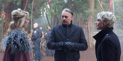 poster de la série Sélection naturelle