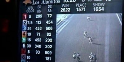 poster de la série Cupidité