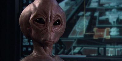 poster de la série La première vague